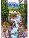 Тетрадь А4 200л кл.  тв.обл. Проф-Пресс "Ущелье в лесу"   /200-5765            *337290