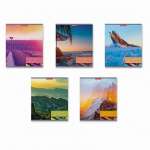 Тетрадь  48л кл. ПОЛИГРАФИКА "Colors of Nature.MIX-PACK"   /58288               *344602