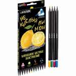 Карандаши 12 цв deVENTE "Juicy Black" 2М, трехгран пласт. черный корп., фок/к   /5022119             *346941