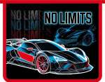 Папка д/тетрадей А5 ПЧЁЛКА молния сверху, печать на пластике "NO LIMITS"   /ПМ-А5-29            *366426