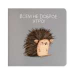 Зап. книжка А6-  32л ФЕНИКС выб.лак "Сонный еж" 13*13см   /71169               *370632