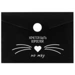 Папка-конверт на кн. А7  ФЕНИКС "Фразы с характером" для карт и визиток 10,5*7,4см   /69042               *366041