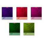 Тетрадь  48л кл. ПОЛИГРАФИКА "Doutone next" аналог 42627   /47510               *300340