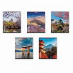 Тетрадь  96л кл. ПОЛИГРАФИКА "Mysterious Japan.MIX-PACK"   /58292               *344605