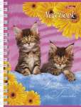 Зап. книжка А6  80л кл. HATBER спир. "Милые Котята"   /803К6В1гр           *108260