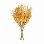 Декоративный элементы Blumentag "Колосок" 1*14,5см   /VDF-22 колос        *348849