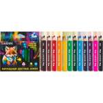 Карандаши 12 цв deVENTE "Triolino Ultra 4М.KIDS" 4М трехрг. утолщ.корпус, к/к   /5022428             *366606