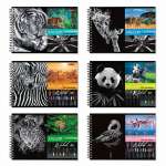 Альбом для рис. А4 40л спир. карт.мел. SVETOCH "Саванна" 100 г/м2   /000244              *348488