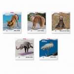 Тетрадь  48л кл. ПОЛИГРАФИКА "Yoga Style"   /58297               *361054