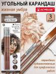 Уголь  3 шт ACMELIAE  в карандаше жженая умбра   /TCP-01              *372202