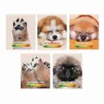 Тетрадь  48л кл.  софт-тач ЭКСМО "Осторожно, щеночки" 5 видов   /ТК488352            *369106